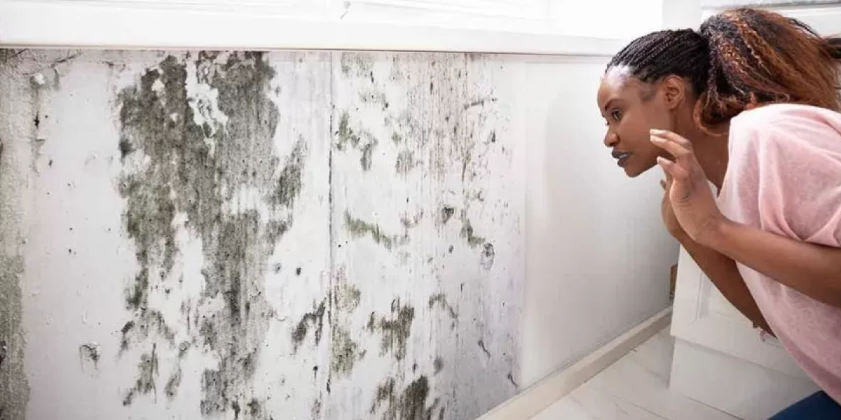 How to clean up mold on drywall Non Sealed How to clean up mold on drywall